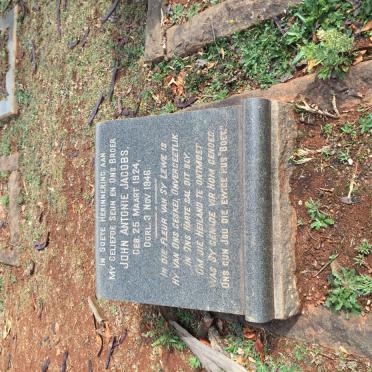 JACOBS John Antonie 1924-1946