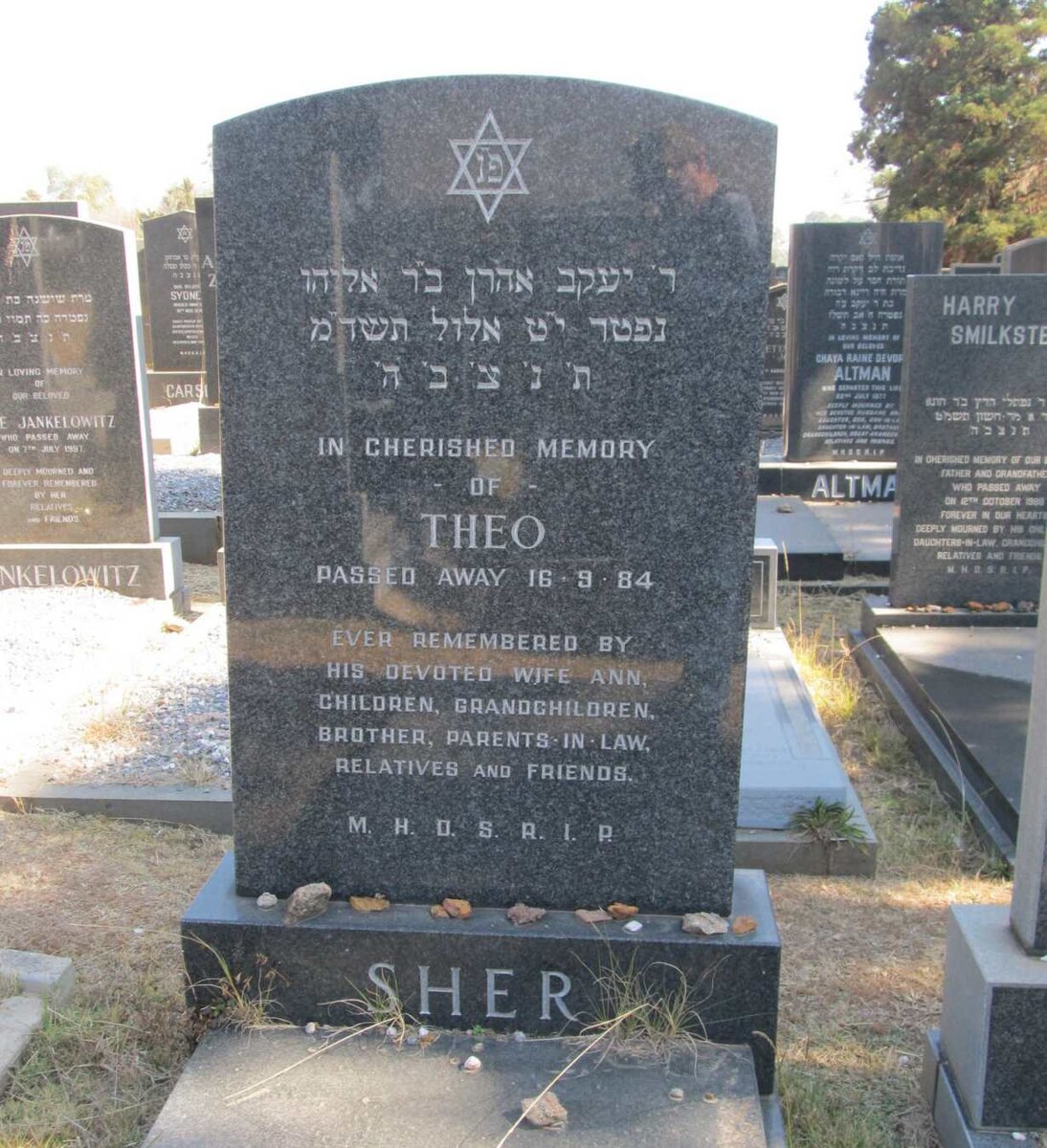 SHER Theo -1984