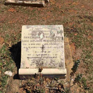 RABIE Hermanus Hendrik &amp; Anna Maria DU PLESSIS 1863-1934