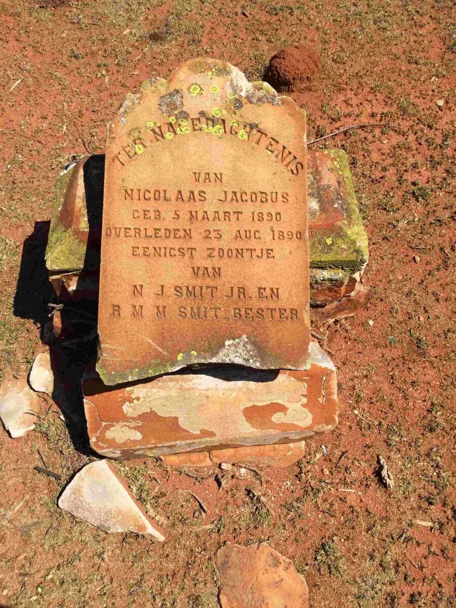 SMIT Nicolaas Jacobus 1890-1890