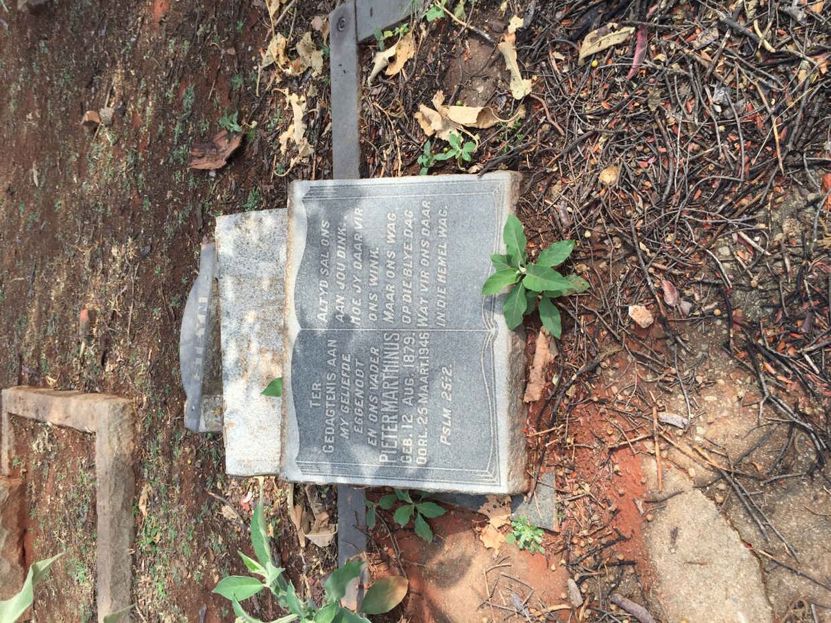 STEYN Pieter Marthinus 1879-1946