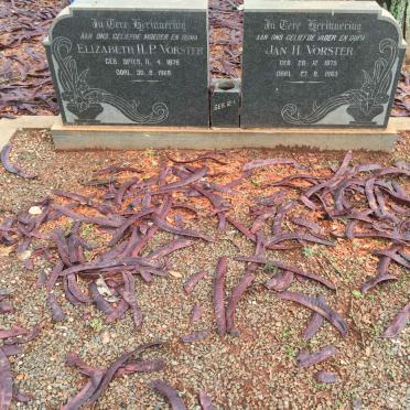 VORSTER Jan H. 1875-1965 &amp; Elizabeth P. SPIES 1878-1966