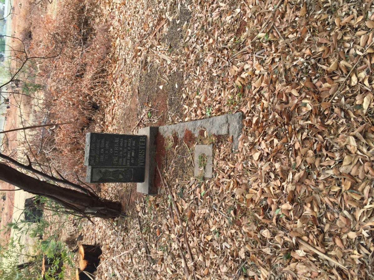 VORSTER ? 1945-1945 :: VORSTER Pietertjie 194?-195?