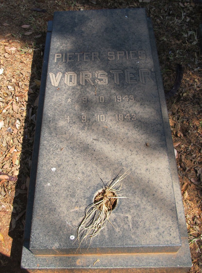 VORSTER Pieter Spies 1943-1943