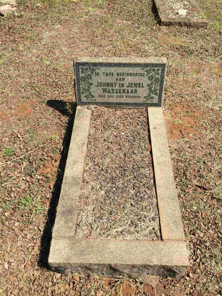 WASSENAAR Johnny :: WASSENAAR Jewel