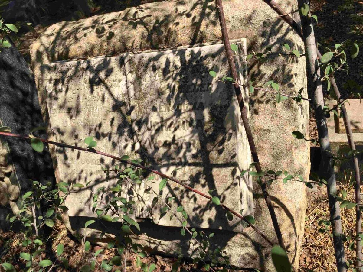 WASSERMAN Hercules Petrus -1931 &amp; Johanna S. 1889-1966