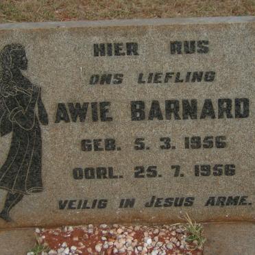 BARNARD Awie 1956-1956