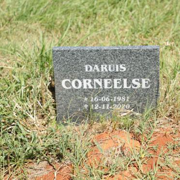 CORNEELSE Daruis 1981-2020