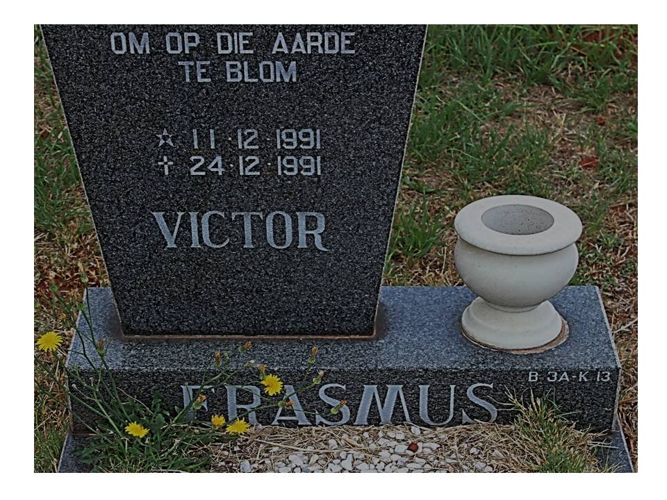 ERASMUS Victor 1991-1991