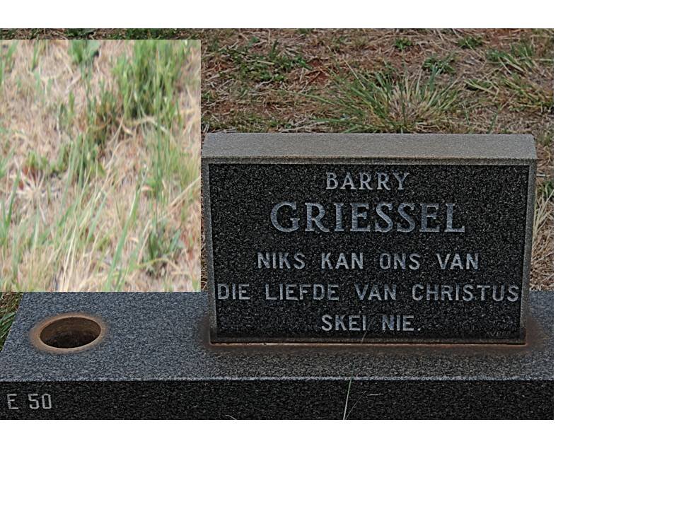 GRIESSEL Barry