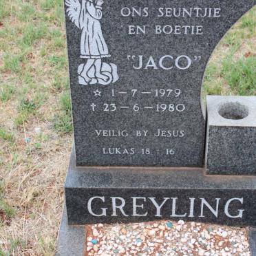 GREYLING Jaco 1979-1980
