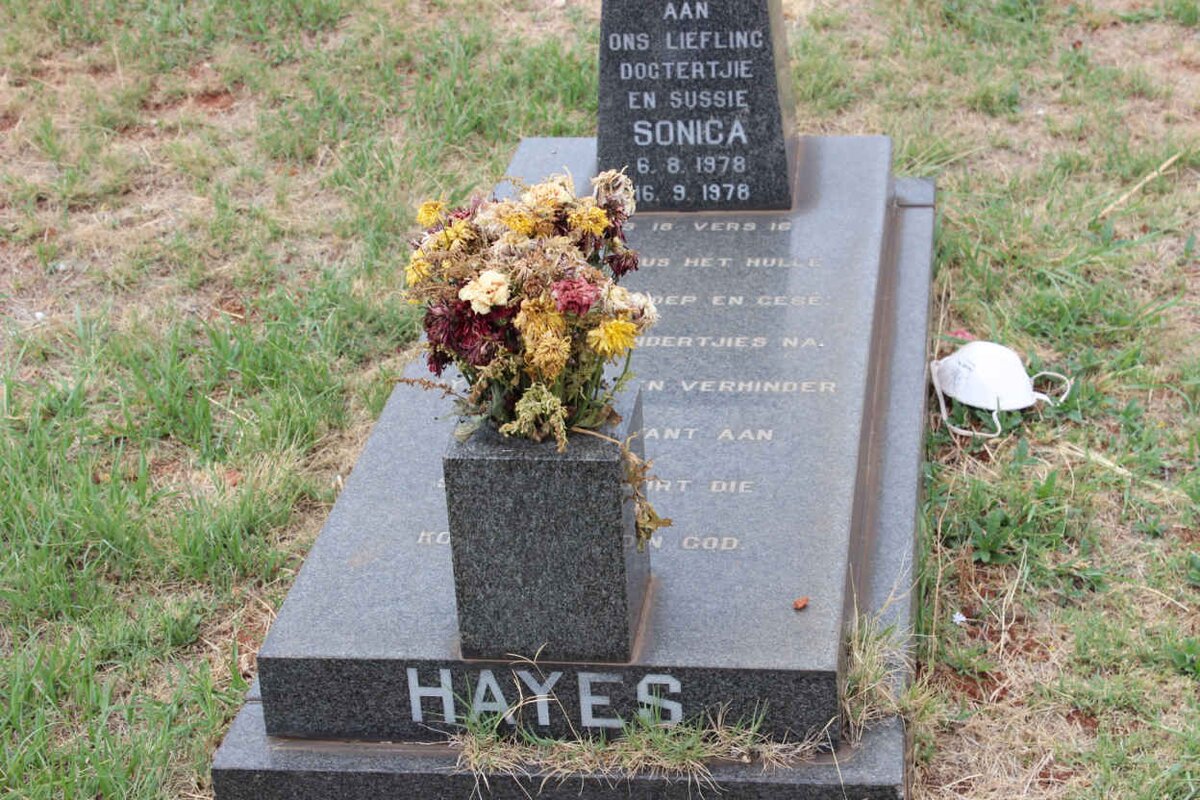 HAYES Sonica 1978-1978