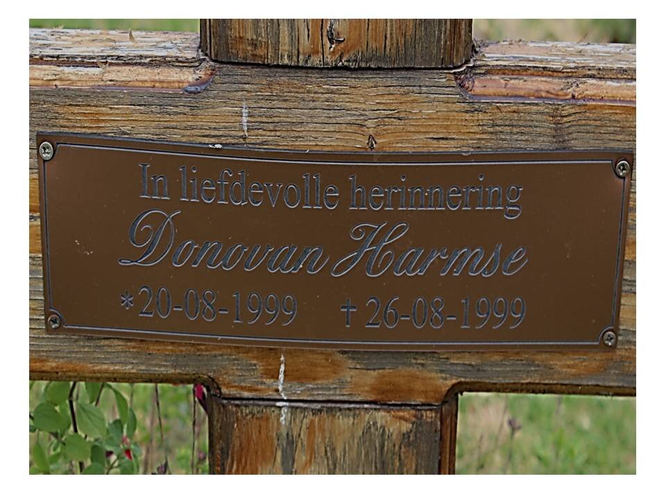 HARMSE Donovan 1999-1999