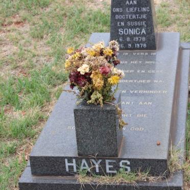 HAYES Sonica 1978-1978