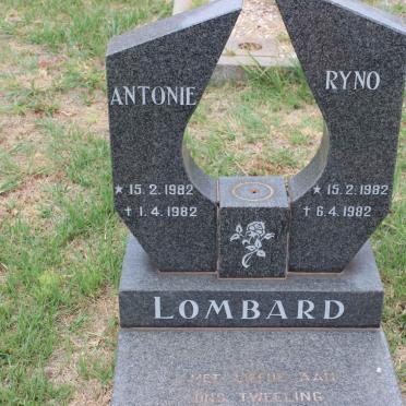 LOMBARD Antonie 1982-1982 :: LOMBARD Ryno 1982-1982
