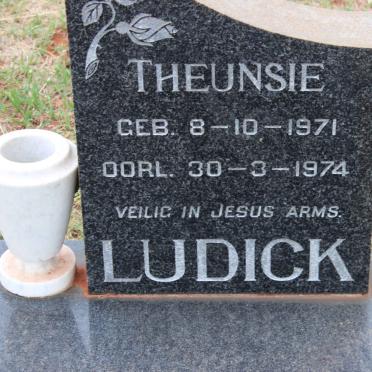 LUDICK Theunsie 1971-1974