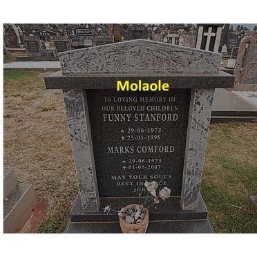 MOLAOLE Funny Stanford 1973-1998 :: MOLAOLE Marks Comford  1973-2007