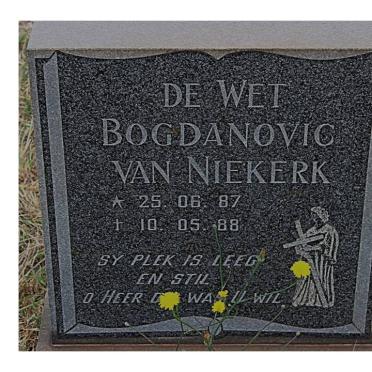 NIEKERK De Wet Bogdanovic, van 1987-1988