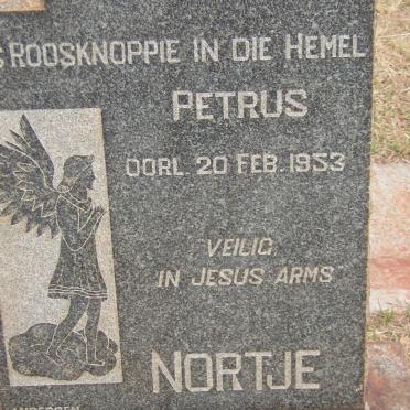 NORTJE Petrus -1953