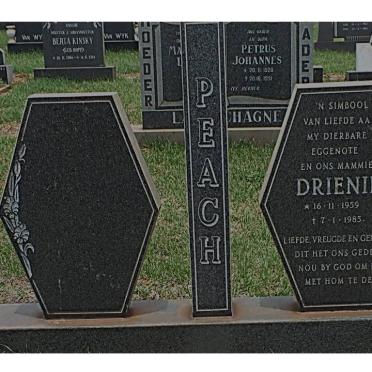 PEACH Drienie 1959-1985