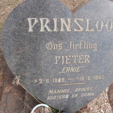PRINSLOO Pieter 1959-1960