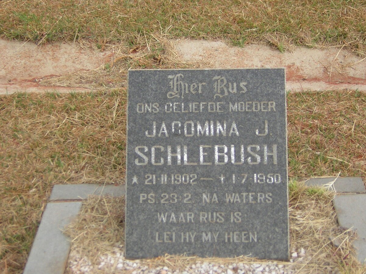 SCHLEBUSH Jacomina J. 1902-1950
