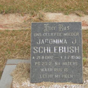 SCHLEBUSH Jacomina J. 1902-1950