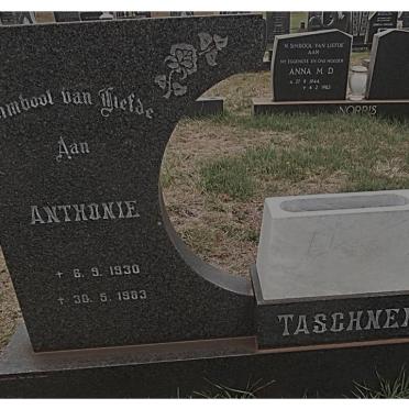 TASCHNER Anthonie 1930-1983