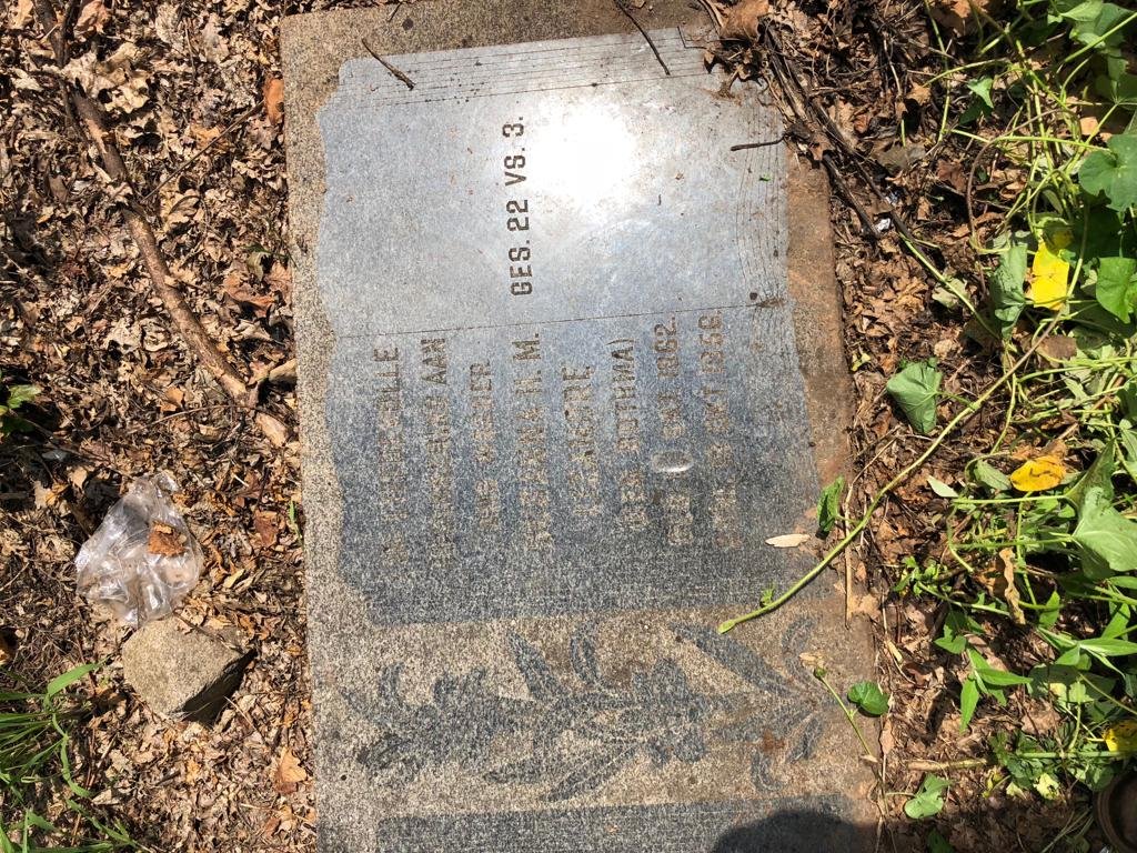 LIZAMORE William 1854-1931 &amp; Susanna N.M. BOTHMA 1862-1956