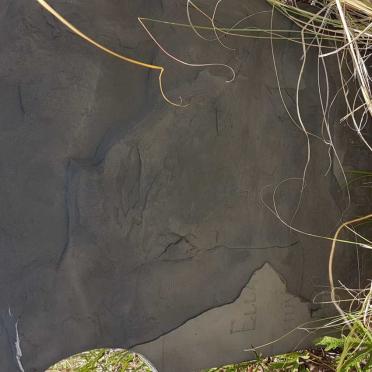 Gauteng, KRUGERSDORP district, Magaliesburg, Zeekoehoek 509_3, Portion 27, Doornbosch, farm cemetery