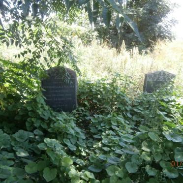 3. Overview / Oorsig