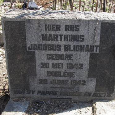 BLIGNAUT Marthinus Jacobus 1942-1942
