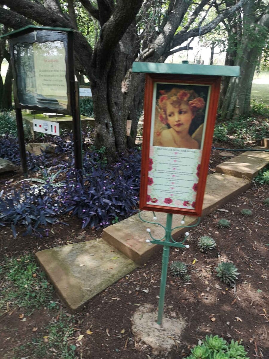 3. Overview / Oorsig