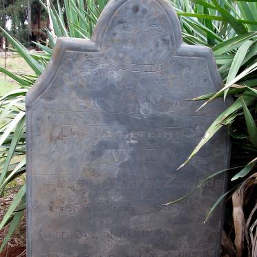 HORN Gert Stefanis 1905-1915