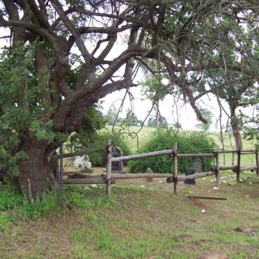 Gauteng, KRUGERSDORP district, Kromdraai, Rietfontein 522_1, farm cemetery