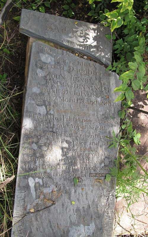 JENNINGS Alice Lilly -1876