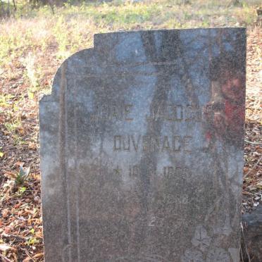 DUVENAGE Jurie Jacobus 1895-1965