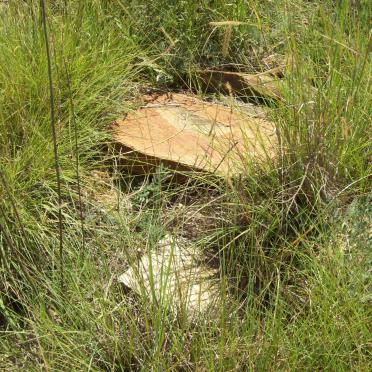 Gauteng, KRUGERSDORP district, Koestersfontein 45 IQ, farm cemetery_1