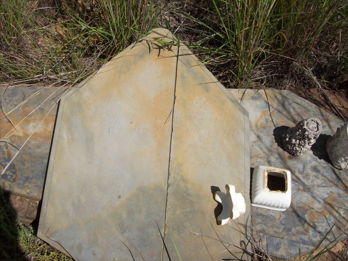 SWART Dina C.W. 1909-1910