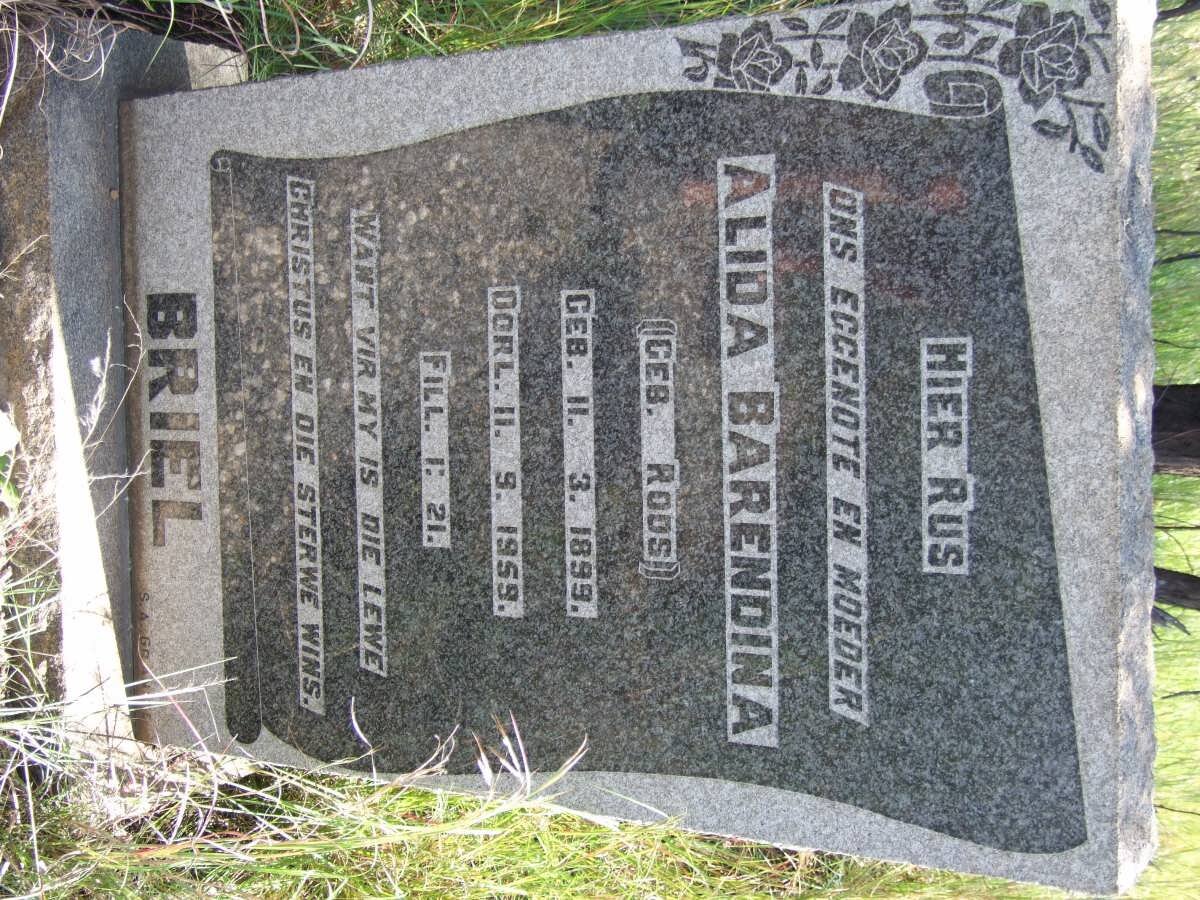 BRIEL Alida Barendina nee ROOS 1899-1959