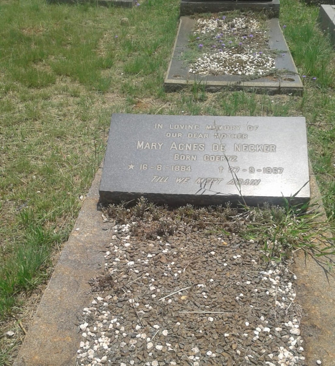 NECKER Mary Agnes, de nee COERTZ 1884-1967