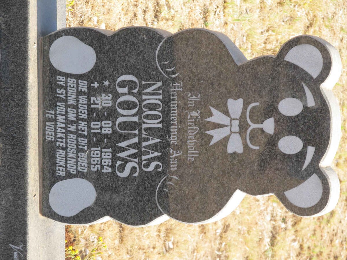 GOUWS Nicolaas 1964-1965