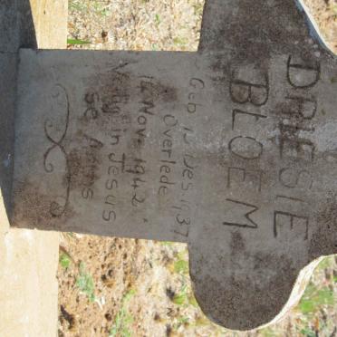 BLOEM Driesie 1937-1942