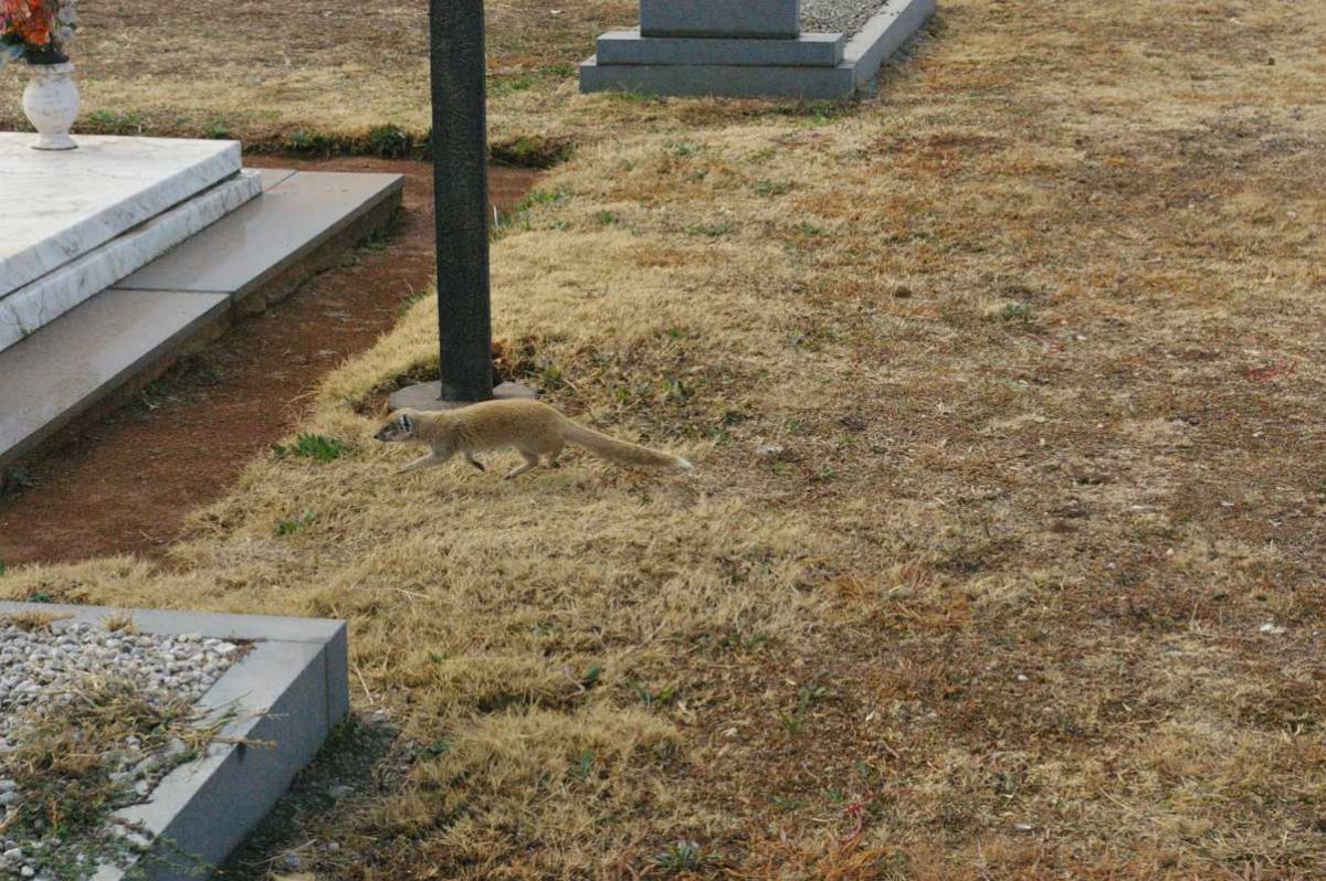 3. Overview / Oorsig