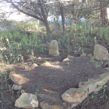 6. Oorsig / Overview