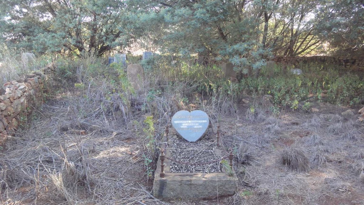 5. Oorsig / Overview