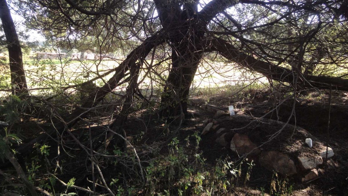 3. Oorsig / Overview