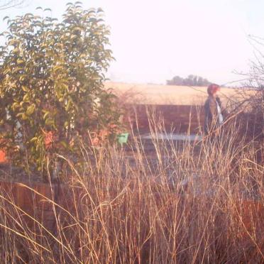 1. Overview of graves