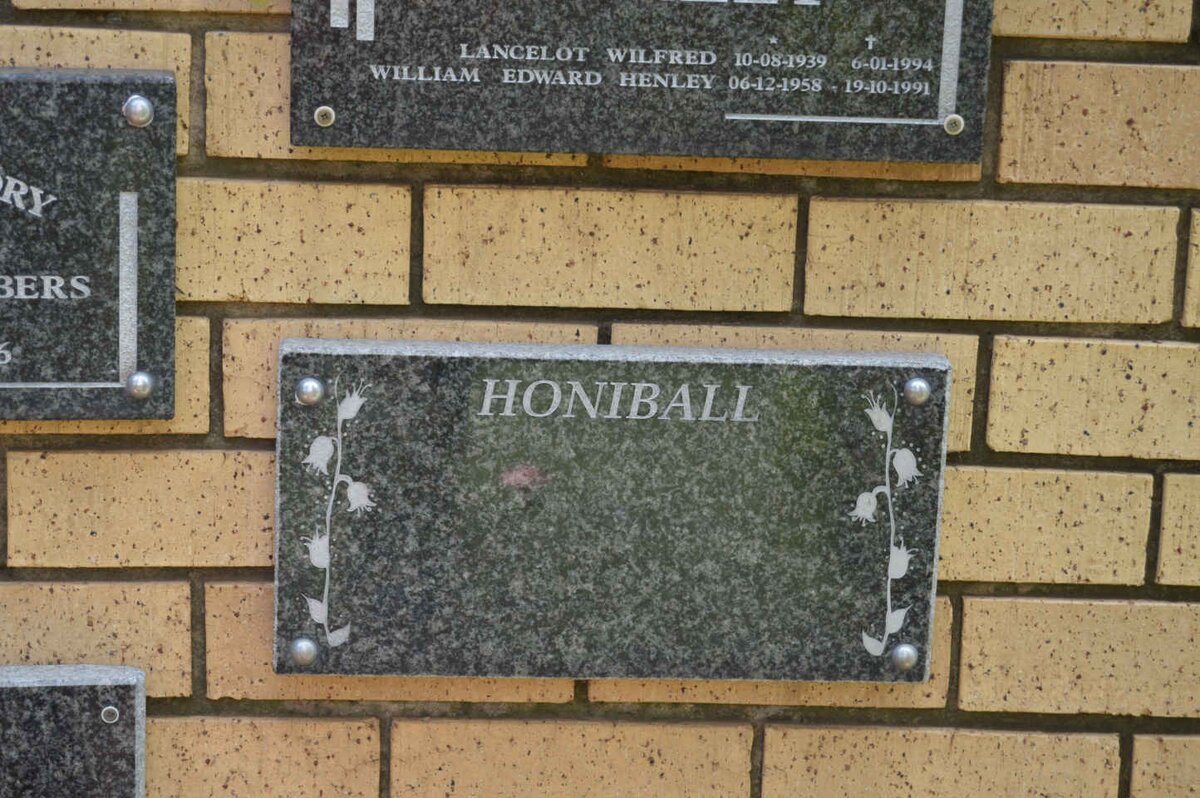 HONIBALL