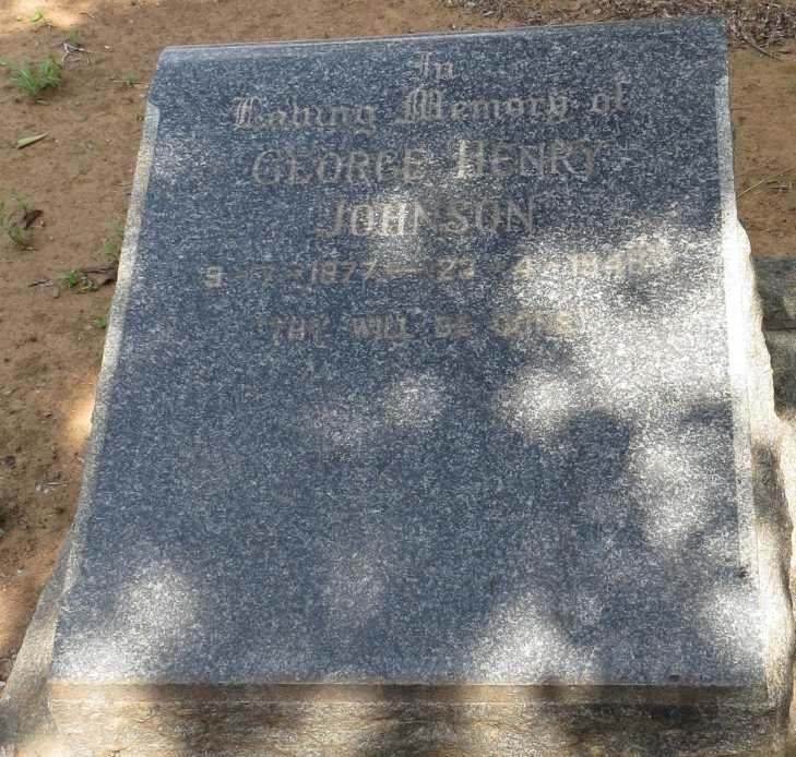 JOHNSON George Henry 1877-1948